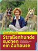 Straßenhunde suchen ein Zuhause - Claudia Ludwig