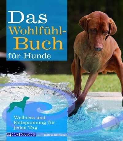 Das Wohlfühlbuch für Hunde - Katrin Blümchen