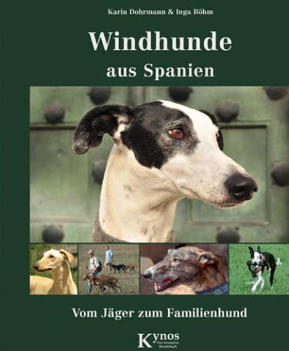 Windhunde aus Spanien - Dohrmann, Karin & Böhm, Inga