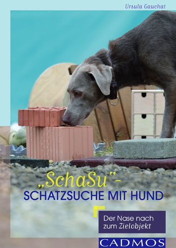 SchaSu – Schatzsuche mit Hund  - Gauchat, Ursula