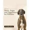 Stress, Angst und Aggression bei Hunden - Anders Hallgren (Mängelexemplar)